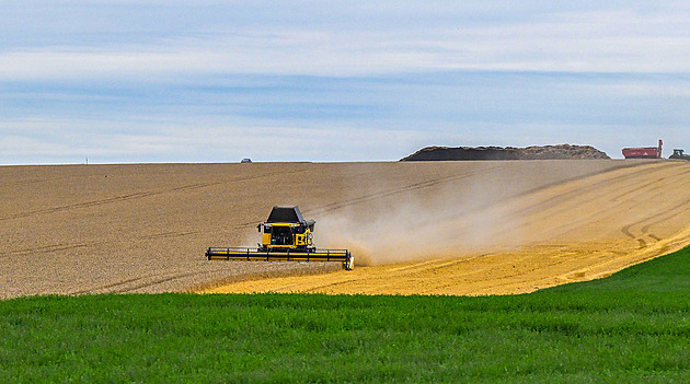 Tradice obilnářské Hané je v ohrožení. Pěstitelům se lány pšenice nevyplatí
