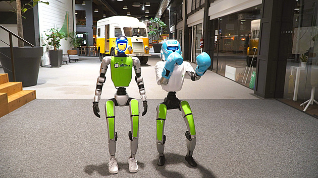V Alze mají nové kolegy. Roboti Adam a Božena běhají, učí i pomáhají