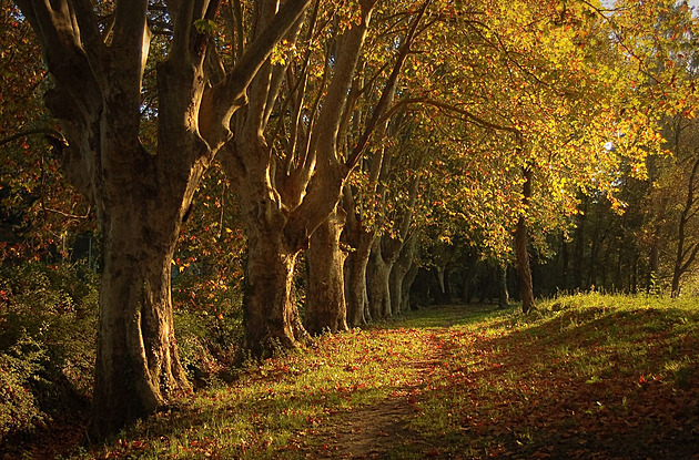 Listopadový rekord přežil 100 let. Nejvyšší teplotu naměřili za první republiky