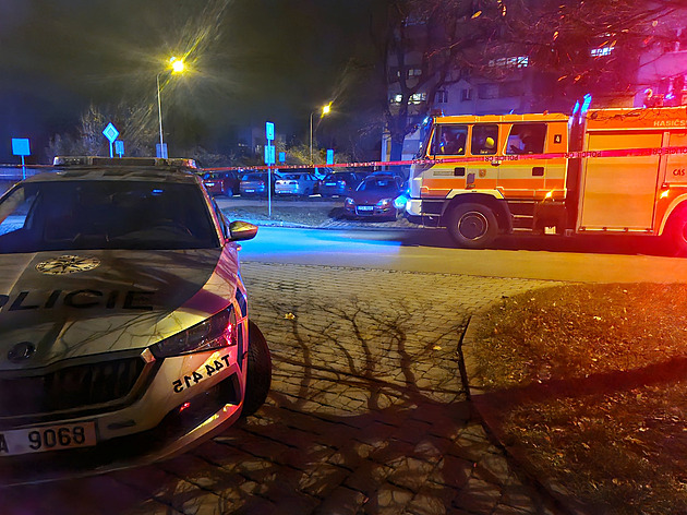 Bývalý přítel ji pronásledoval a vyhrožoval, hlásila to, říkají blízcí zavražděné