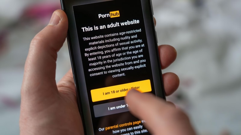 Pornhubu ukradli citlivá data 200 milionů uživatelů. Unikly adresy i hesla, která hledali    