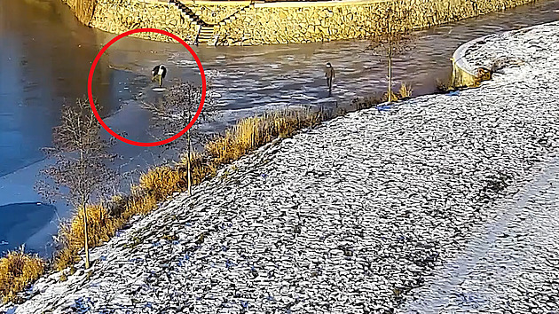 VIDEO: Hazard se životem. Mladíci testovali sílu ledu na soutoku řek dupáním