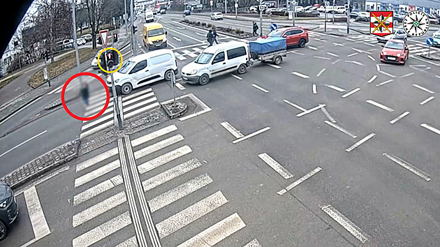 VIDEO: Chodkyně ignorovala semafor, auto ji po srážce popovezlo na kapotě