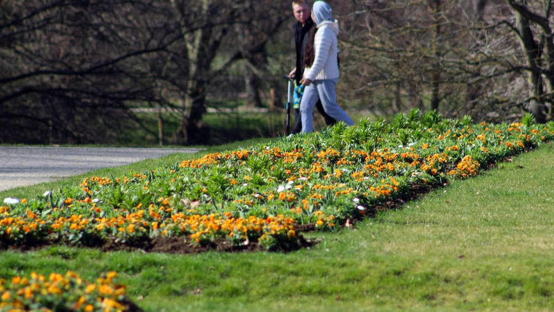 Sledujte RADAR: Slunečno a jarní teploty. Česko čeká teplý závěr února, jak bude u vás?