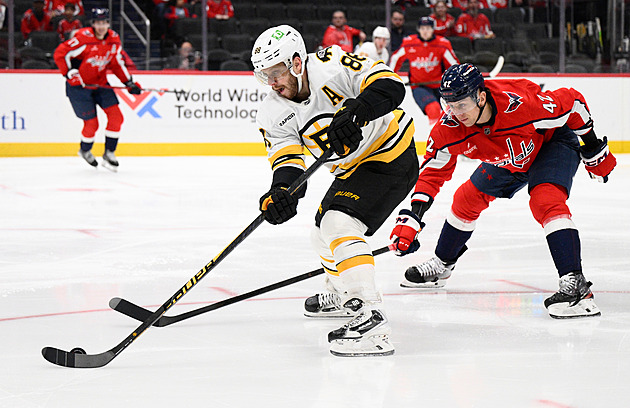 Pastrňák se Zachou asistovali, Anaheim bez Čechů nestačil na Ottawu