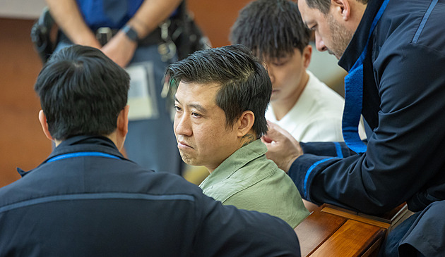 Sekáčkem útočil na hlavu, napadl i těhotnou. Soud Vietnamci potvrdil 18 let