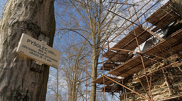 Věž na Pyšolci bude bezpečná a shodí lešení. Práce na záchraně hradu však nekončí