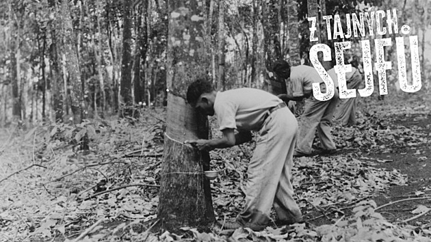 Masakr gumových vojáků. Domů se vrátil každý druhý, v Normandii by měli víc šancí