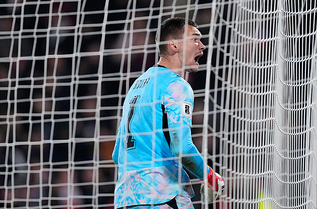 Nedochází mi to. V těle proudí adrenalin, euforie, říkal Kovář po postupu na MS