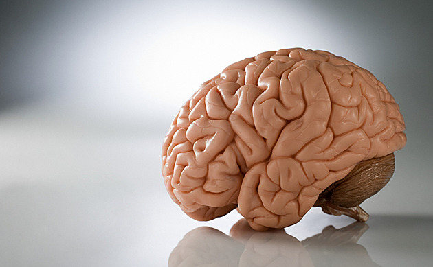 Vzpomínky spojené s emocemi se lépe ukládají a snáz vybavují, říká vědkyně