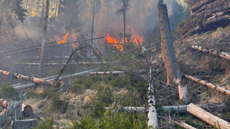 Požár v Českém Švýcarsku se nedaří zkrotit, hasiči vyhlásili zvláštní stupeň poplachu